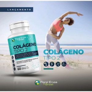 Colageno Tipo 2 60 Cápsulas Apenas 1/dia. 500mg COLÁGENO TIPO II Colágeno: não hidrolisado